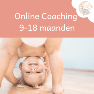 Online coaching 9-18 maanden
